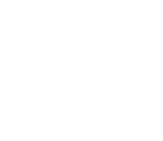 焚火と薪